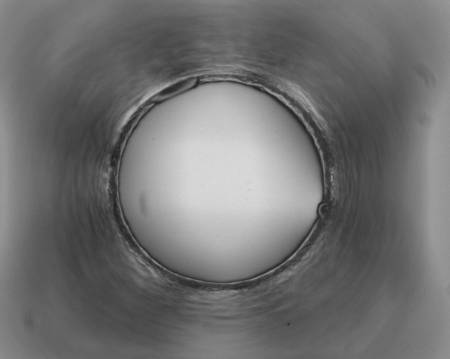 X0000114591260200911091249