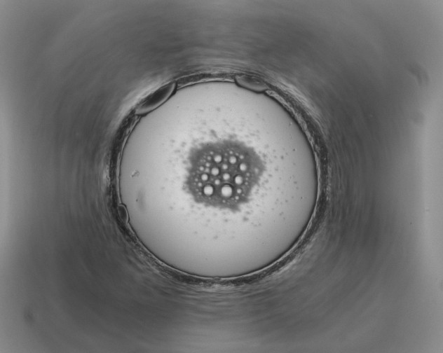 X0000114591261200911091249