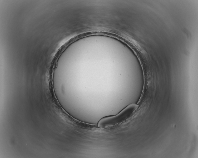 X0000114591264200911091249