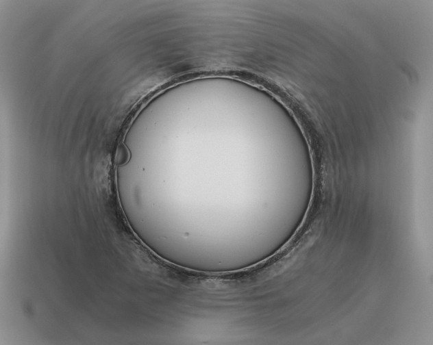 X0000114591265200911091249