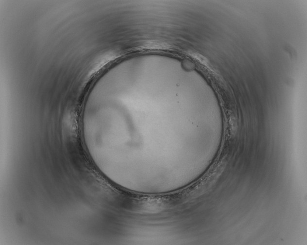 X0000114591266200911091249