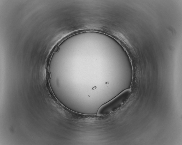 X0000114591268200911091249