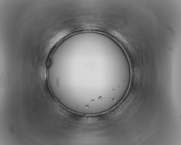 X0000114591269200911091249