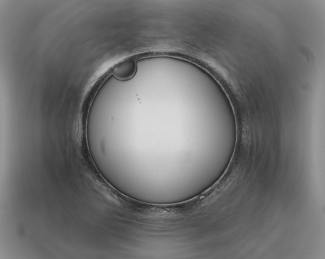 X0000114591270200911091249