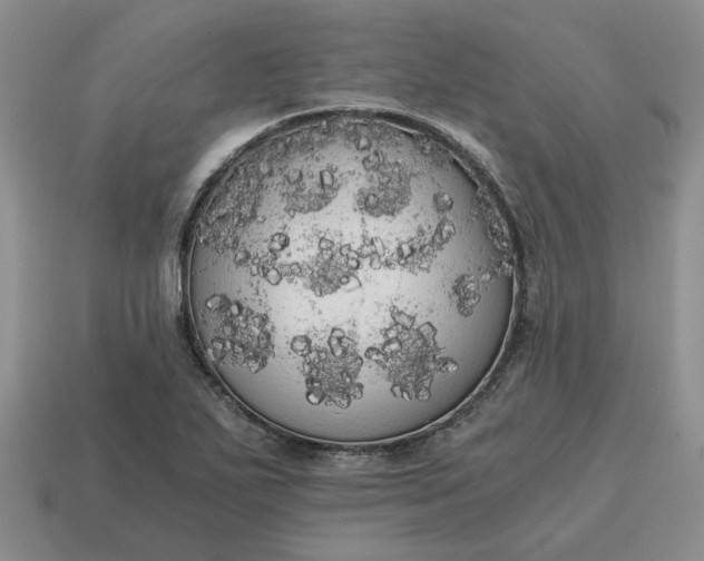 X0000114591271200911091249