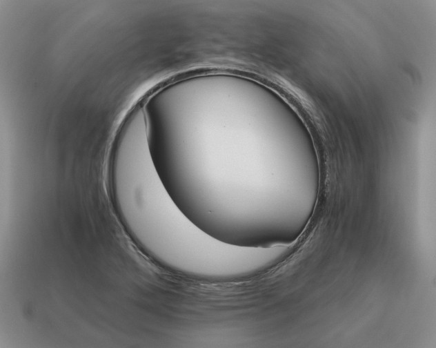 X0000114591272200911091249