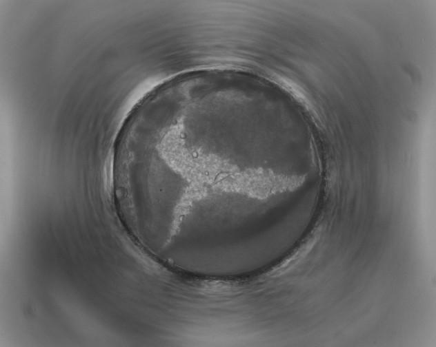 X0000114591275200911091249