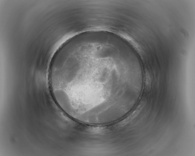 X0000114591278200911091249