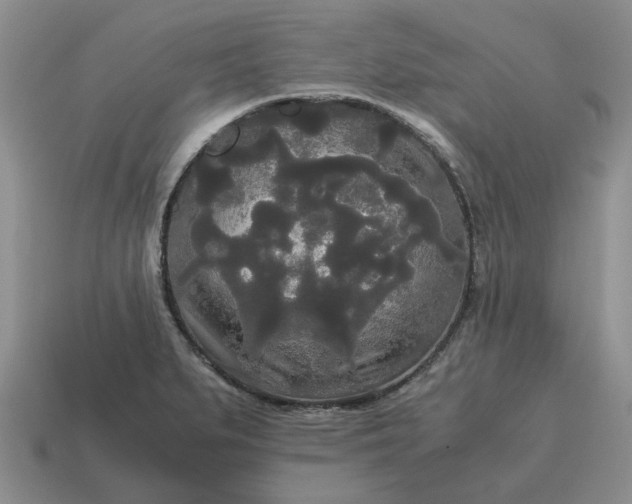 X0000114591279200911091249