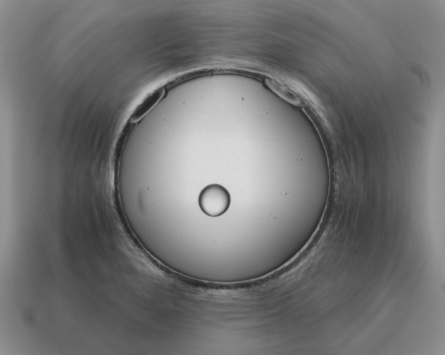 X0000114591280200911091249