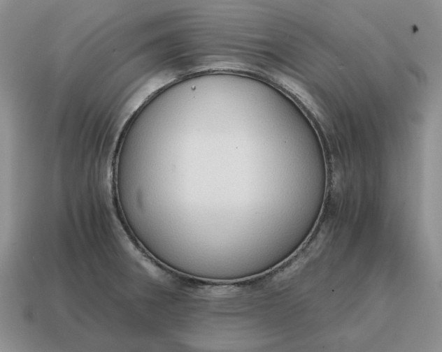 X0000114591282200911091249