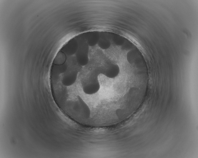 X0000114591283200911091249