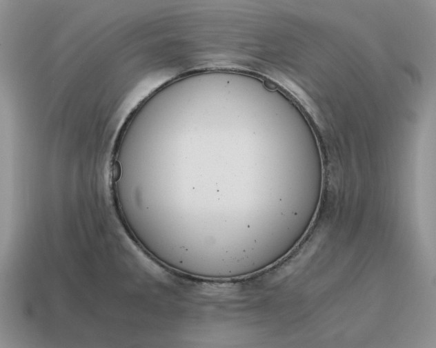 X0000114591285200911091249