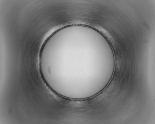 X0000114591286200911091249