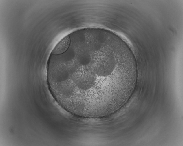 X0000114591287200911091249