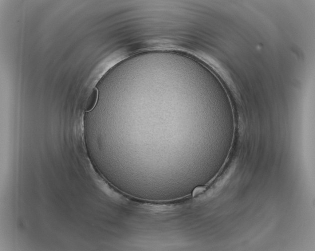 X0000114591289200911091249