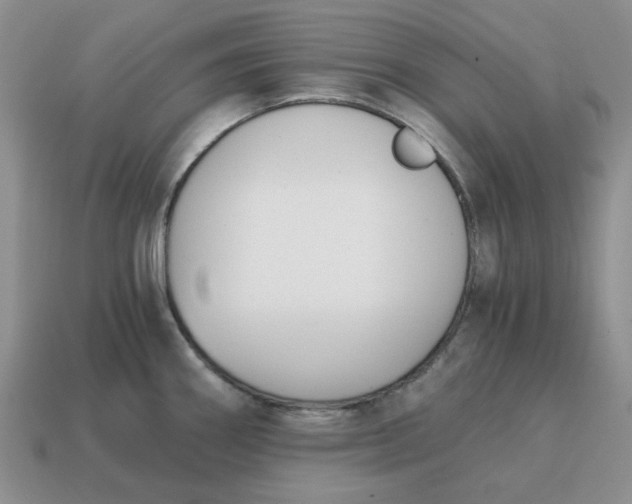 X0000114591290200911091249