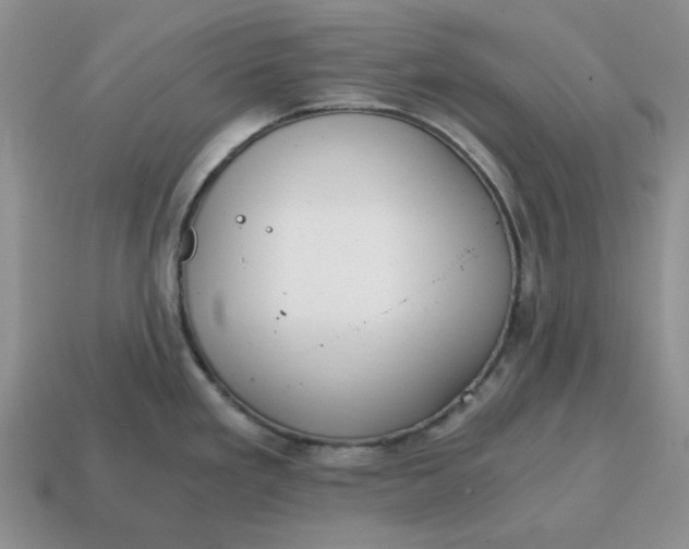 X0000114591293200911091249