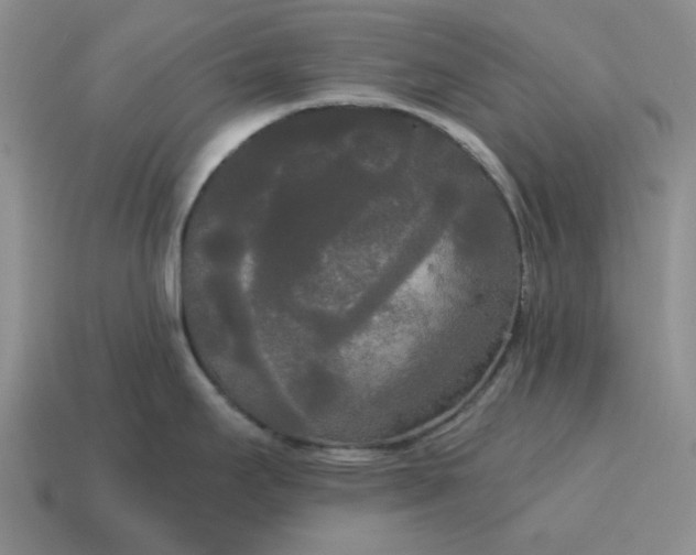 X0000114591295200911091249