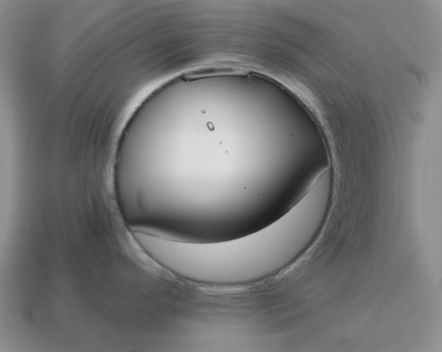 X0000114591296200911091249