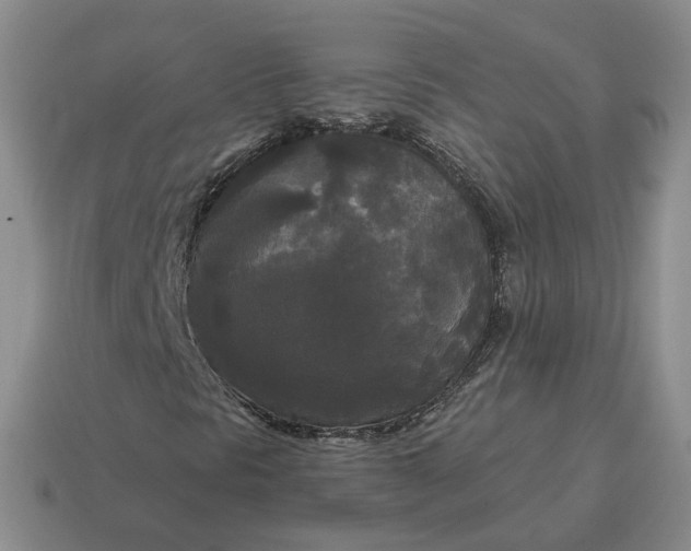 X0000114591297200911091248