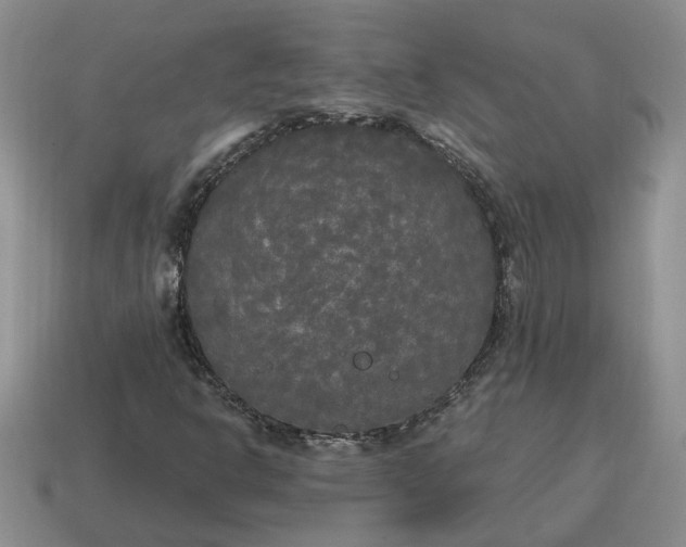 X0000114591302200911091248