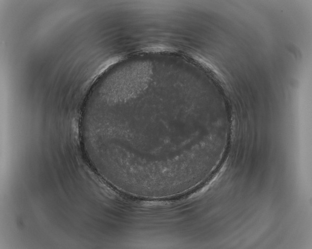 X0000114591305200911091248