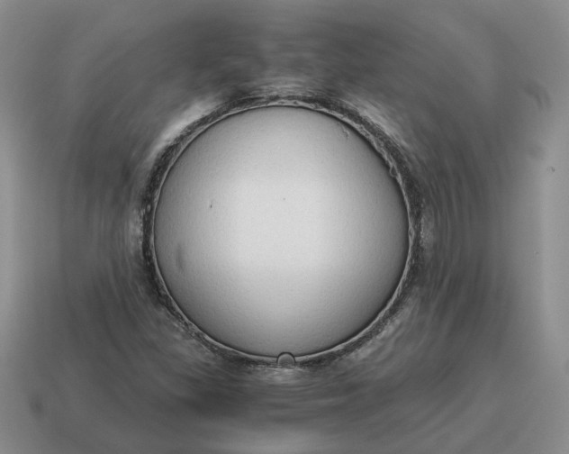 X0000114591309200911091248