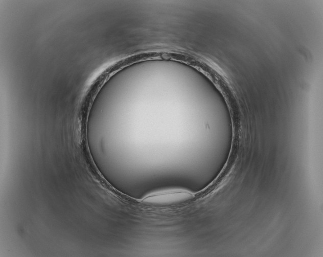 X0000114591310200911091248