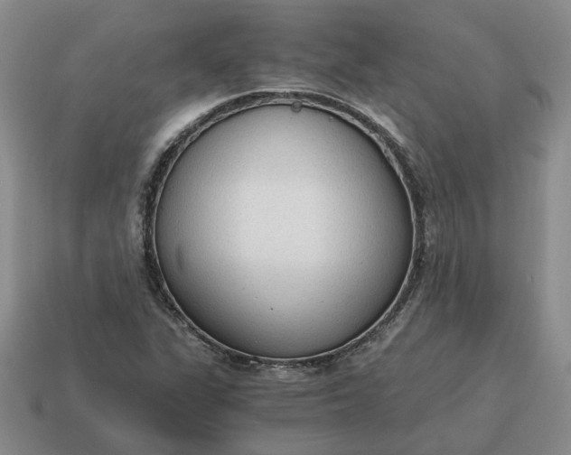 X0000114591311200911091248