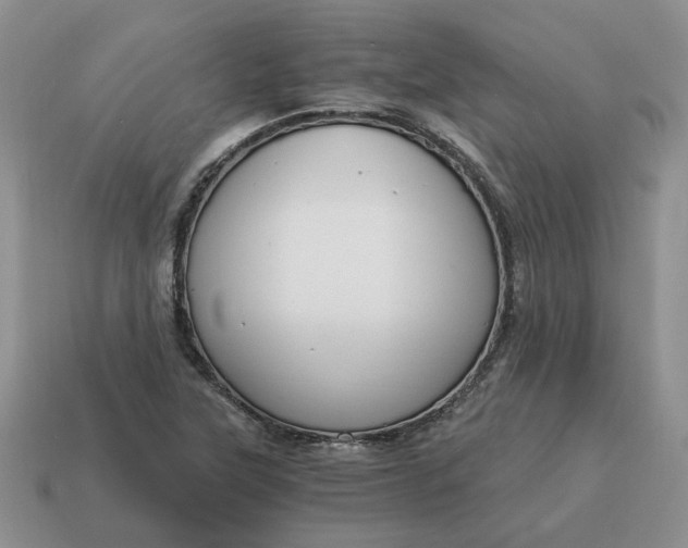 X0000114591315200911091248