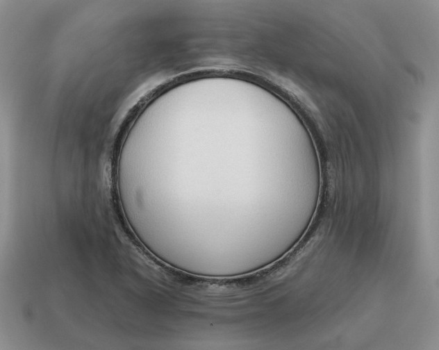 X0000114591318200911091249