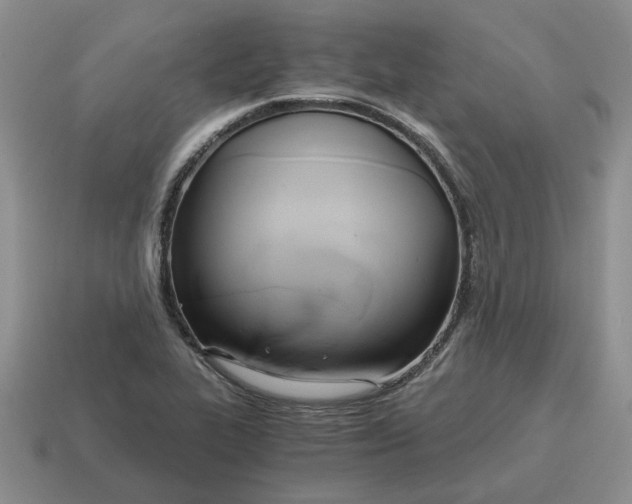 X0000114591319200911091249