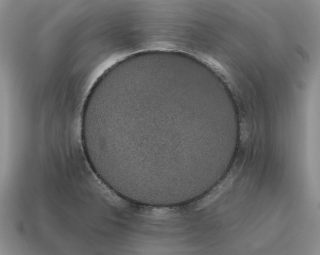 X0000114591326200911091249