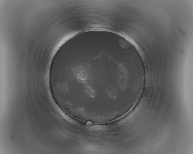 X0000114591333200911091249