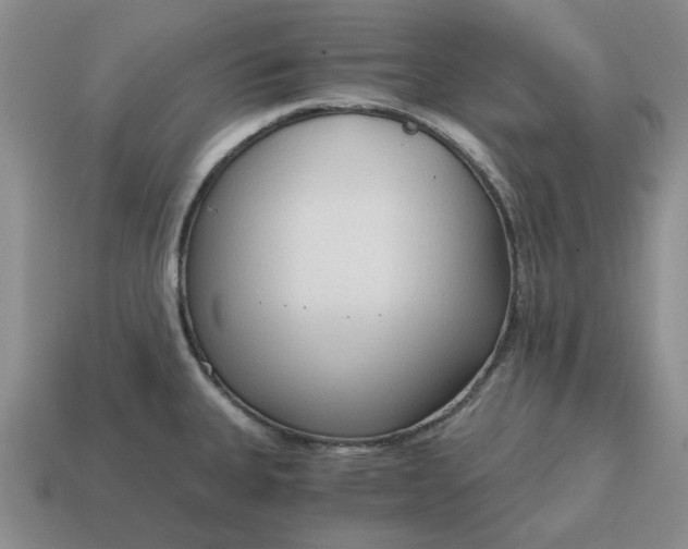 X0000114591335200911091249