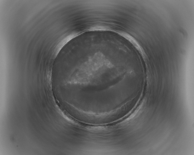 X0000114591337200911091249