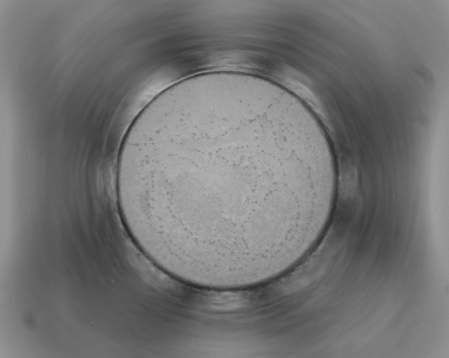 X0000114591338200911091249