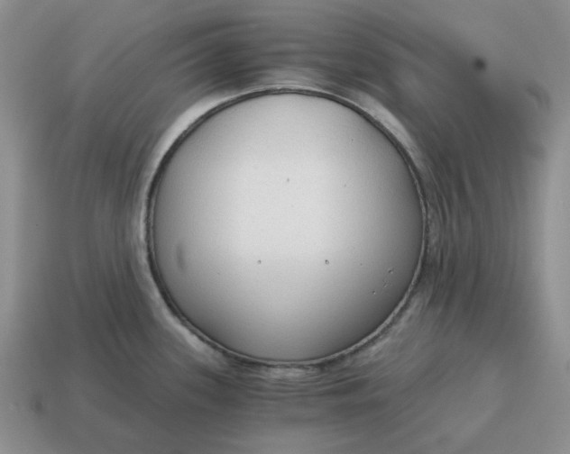 X0000114591339200911091249