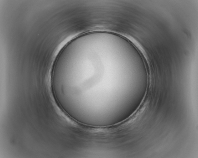 X0000114591341200911091249