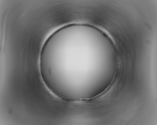 X0000114591343200911091249