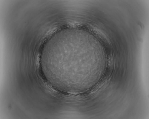 X0000114591346200911091248