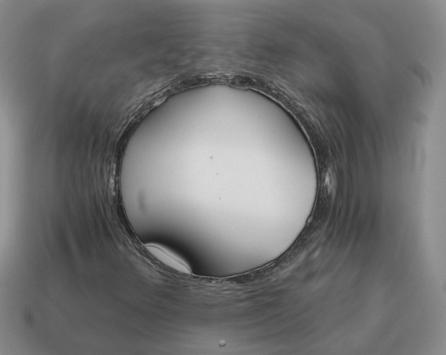 X0000114591348200911091248