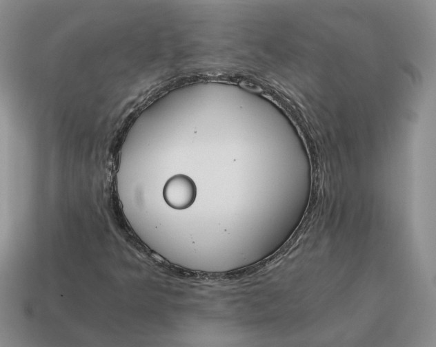 X0000114591349200911091248