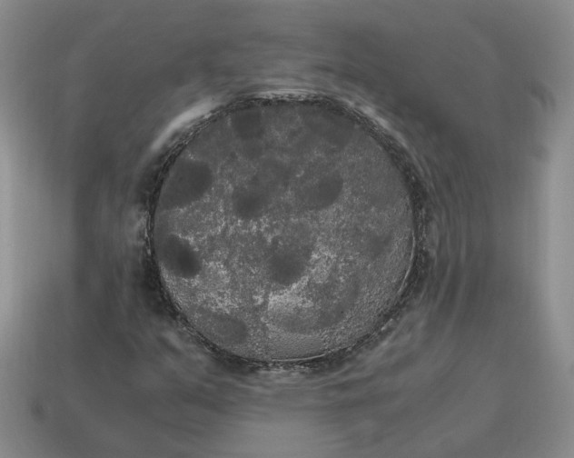 X0000114591351200911091248