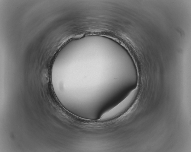 X0000114591353200911091248