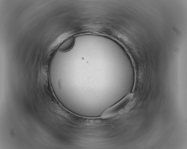 X0000114591354200911091248