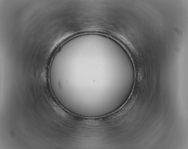 X0000114591356200911091248