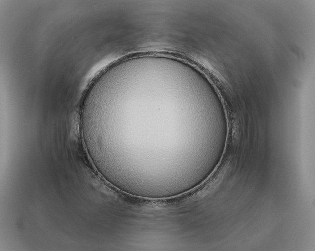 X0000114591358200911091248