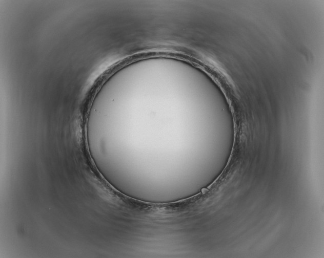 X0000114591360200911091248